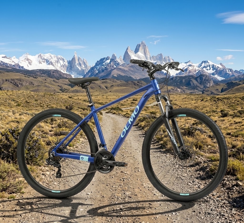 Bicicleta TT FLASH 290+DISC